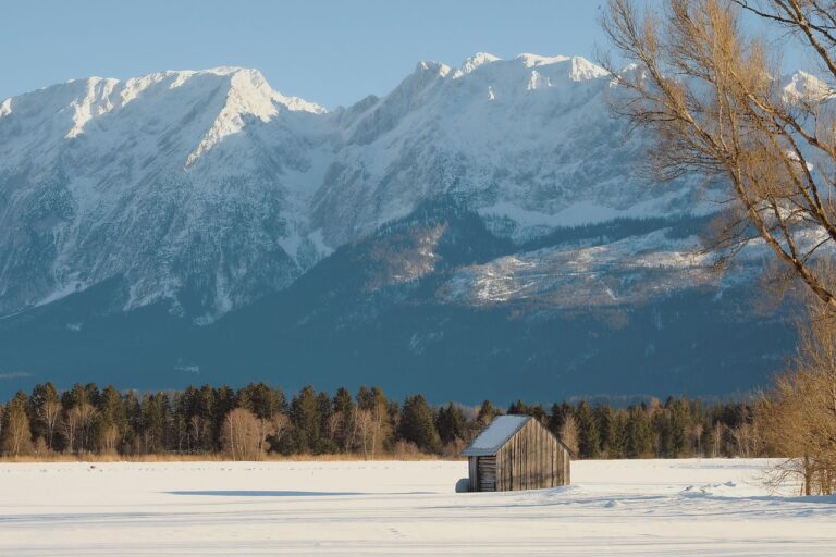 Traveling the Silk Road Today: Cultural Exchanges and Trade Routes Revival