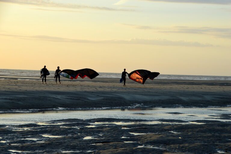 Wildlife Conservation Efforts in Cricket Venues