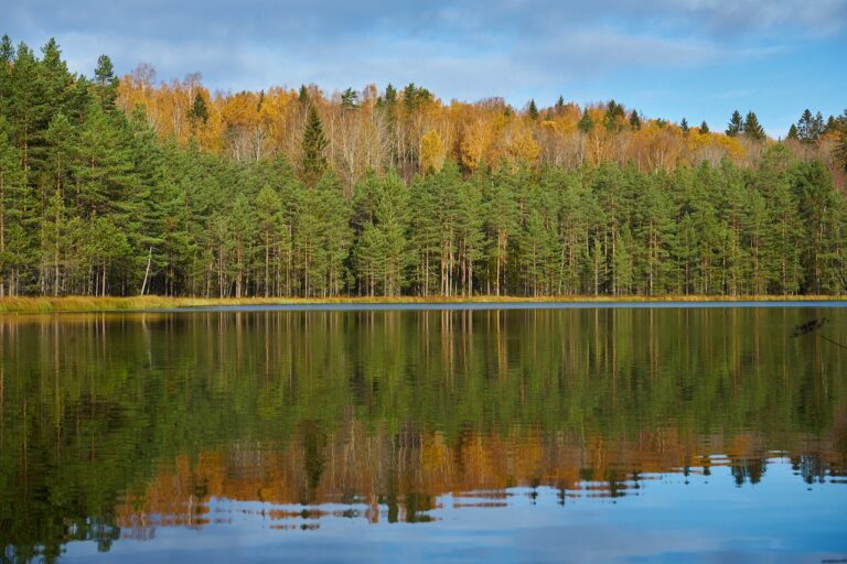 The Future of Travel Journalism: Digital Platforms, Blogging, and Visual Storytelling